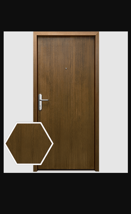 top_quality_steel_doors_for_home